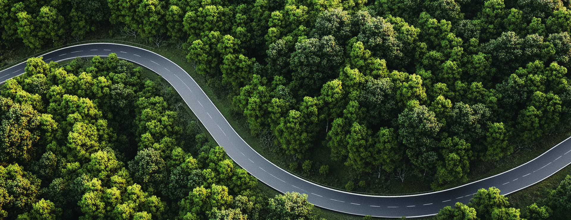 AG��˾(�й�����)�����޹�˾����